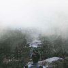 Into the mist