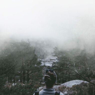 Into the mist