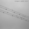 windgazer