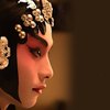 花无衣