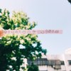 中坜高商62届毕业歌 飞