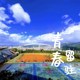 青春留驻