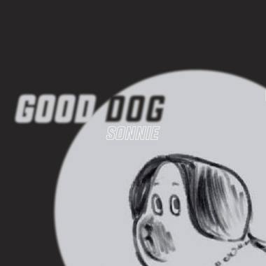 孤狗