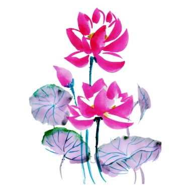 莲池demo