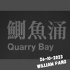 中午在鲗鱼涌2023, field recording