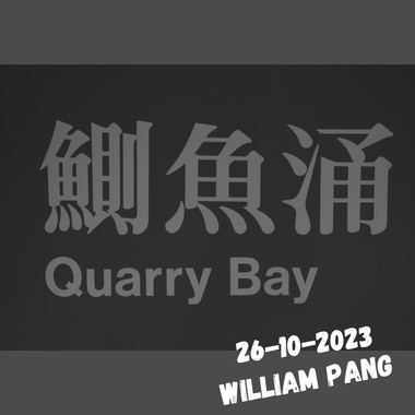 中午在鲗鱼涌2023, field recording