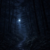 《森林说》Forest Speaks