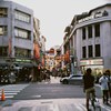 春日悬浮