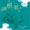 哈根草(HotShot)-等待