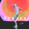 VENALA！能量满满