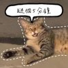 眯个5分钟
