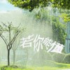 若你能懂