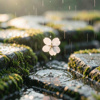 细雨裁春光  |   轻音乐  |