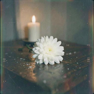 芒花雪  |  轻音乐  |