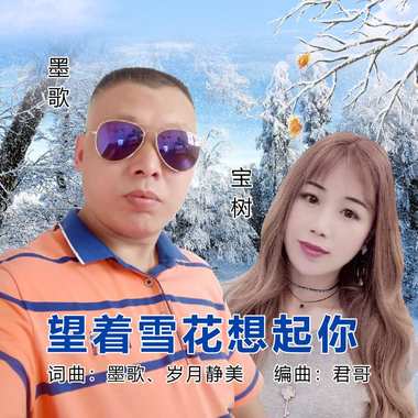 墨歌&宝树 - 望着雪花