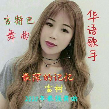 宝树 - 最深的记忆