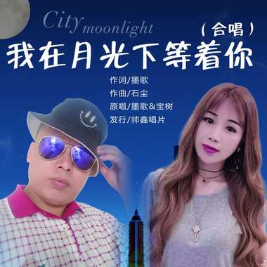 墨歌 / 宝树 - 我在月光下等着你