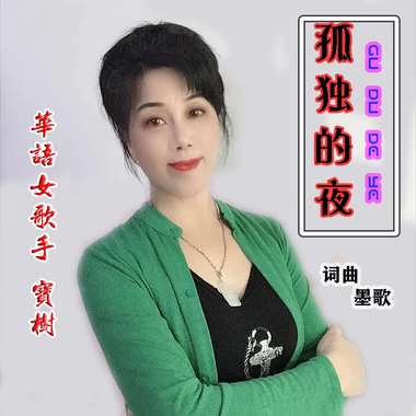 宝树 - 孤独的夜