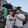 刘贵生/李小英 - 花园会