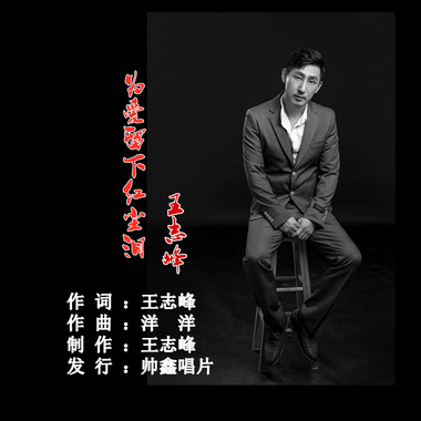王志峰 - 为爱留下红尘泪