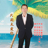 刘东华  - 只因太爱你