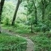 未竟之路