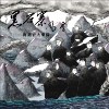 主音乐团