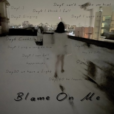 Blame On Me