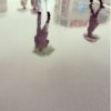 rain demo