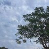 归零 Demo