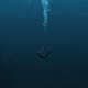 Drownin