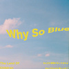Why So Blue