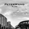 Peter Wang - Aline