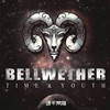 头羊乐队（Bellwether） - 夜