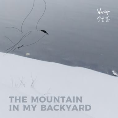 The Mountain In My Backyard