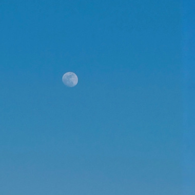 What's Your Pain Like (demo)