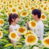 最后分别的夏天 Summer Tail