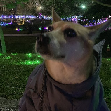 你