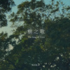 树之歌 The Song of Trees