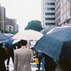 晚上会下雨吗 (demo)