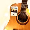 秃秃胖胖 Demo