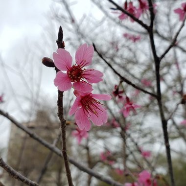 㷀㷀孑立，形影相吊