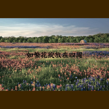 如繁花绽放在四周