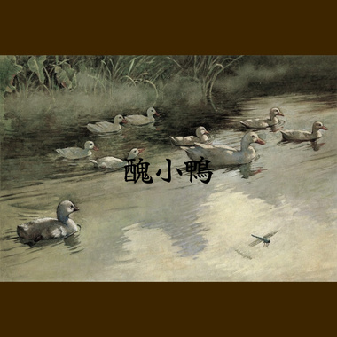 丑小鸭