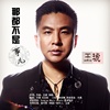 王琥 - 那都不是事儿