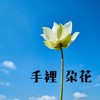 手里一朵花 (demo:2019)