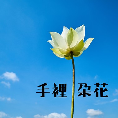 手里一朵花 (demo:2019)