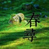 春寻 (demo)