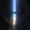 盼望 • Feat. 天恩 & Redbean