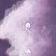 雾Mist 